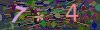 captcha-1791596492