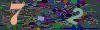 captcha-1791623407