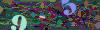 captcha-1791720312