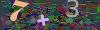 captcha-1791725285