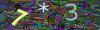 captcha-1791775581