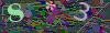 captcha-1791782835