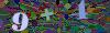 captcha-1791816541