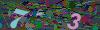 captcha-1791955678