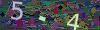 captcha-1792038673