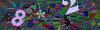 captcha-1792112953