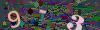 captcha-1792192292