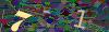captcha-1792242639