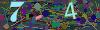 captcha-1792275537