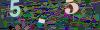 captcha-1792282455