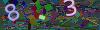 captcha-1792335750
