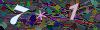 captcha-1792406964