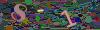 captcha-1792428379