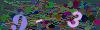 captcha-1792494505
