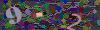 captcha-1792564925