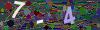 captcha-1792571717