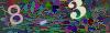 captcha-1792634164
