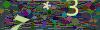 captcha-1792702054