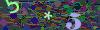 captcha-1792714811