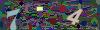captcha-1792752460