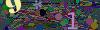 captcha-1792816114