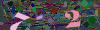 captcha-1792817832