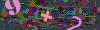 captcha-1792828622