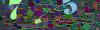 captcha-1792833263