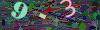 captcha-1792874342