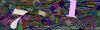 captcha-1792878035