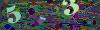 captcha-1792915063