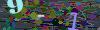 captcha-1792947556