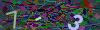 captcha-1793015687