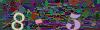 captcha-1793020295