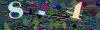 captcha-1793025024