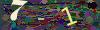 captcha-1793076836
