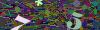 captcha-1793078536