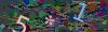 captcha-1793099365
