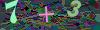 captcha-1793148897