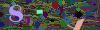captcha-1793192380