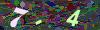 captcha-1793198459