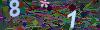 captcha-1793205259