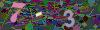 captcha-1793211335