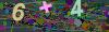 captcha-1793214554