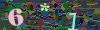 captcha-1793235066