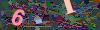 captcha-1793279597