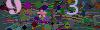 captcha-1793339884