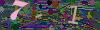captcha-1793374489