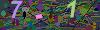 captcha-1793451976
