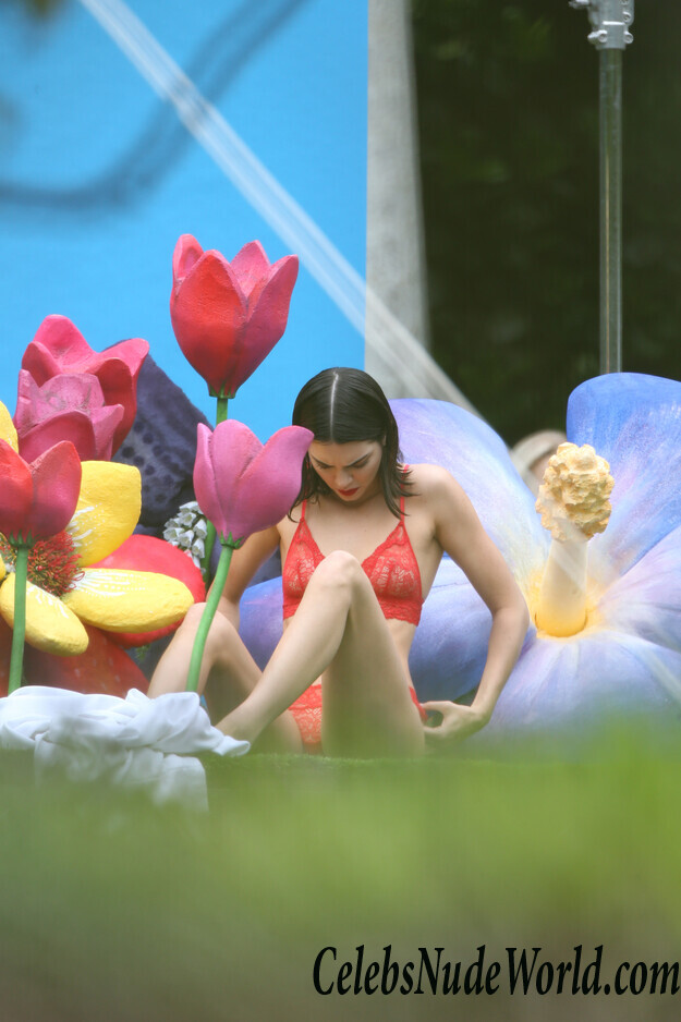 Kendall Jenner Sexy Photos 103390